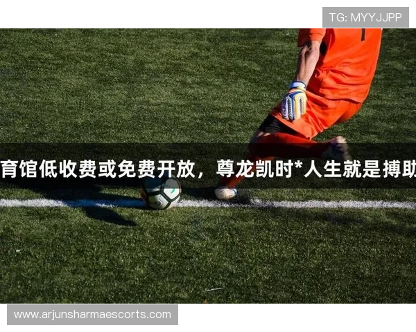 尊龙体育游戏：多样化的体育游戏选择满足不同玩家的娱乐需求，开启你的运动狂欢之旅